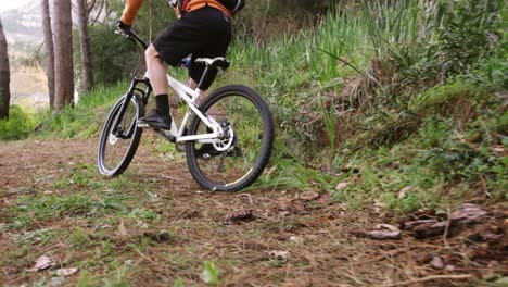 Ciclista-De-Montaña-Masculino-Montando-En-El-Bosque