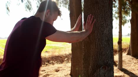 hombre realizando ejercicios de estiramiento en una granja de olivos