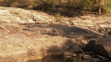 Low-Water-Level-During-Summer-Season-Flowing-Into-Cedar-Creek-Falls-On-A-Sunny-Day