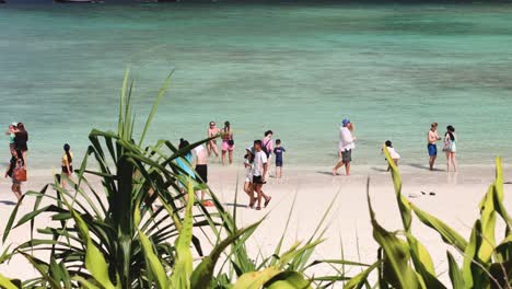 people enjoying a sunny day at the beach