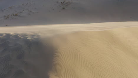 volando alrededor de mt
