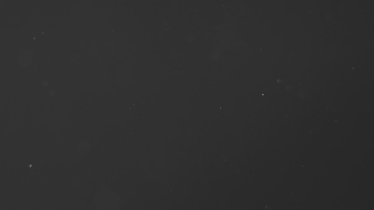 Desaturated White Real Dust Particles Floating in the Air in Slow Motion with Natural Sun Light on Dark Black Background. Use Add Screen Mode for Compositing Asset VFX ProRes 4K.