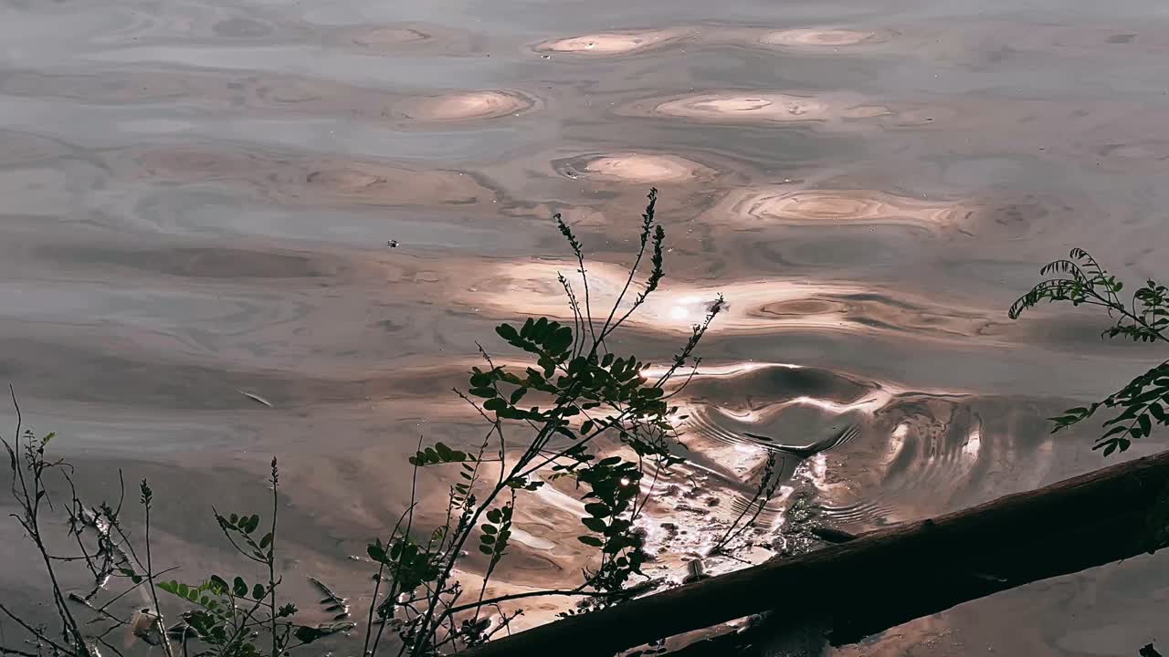 Water Reflections at Sunset