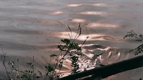 water reflections at sunset