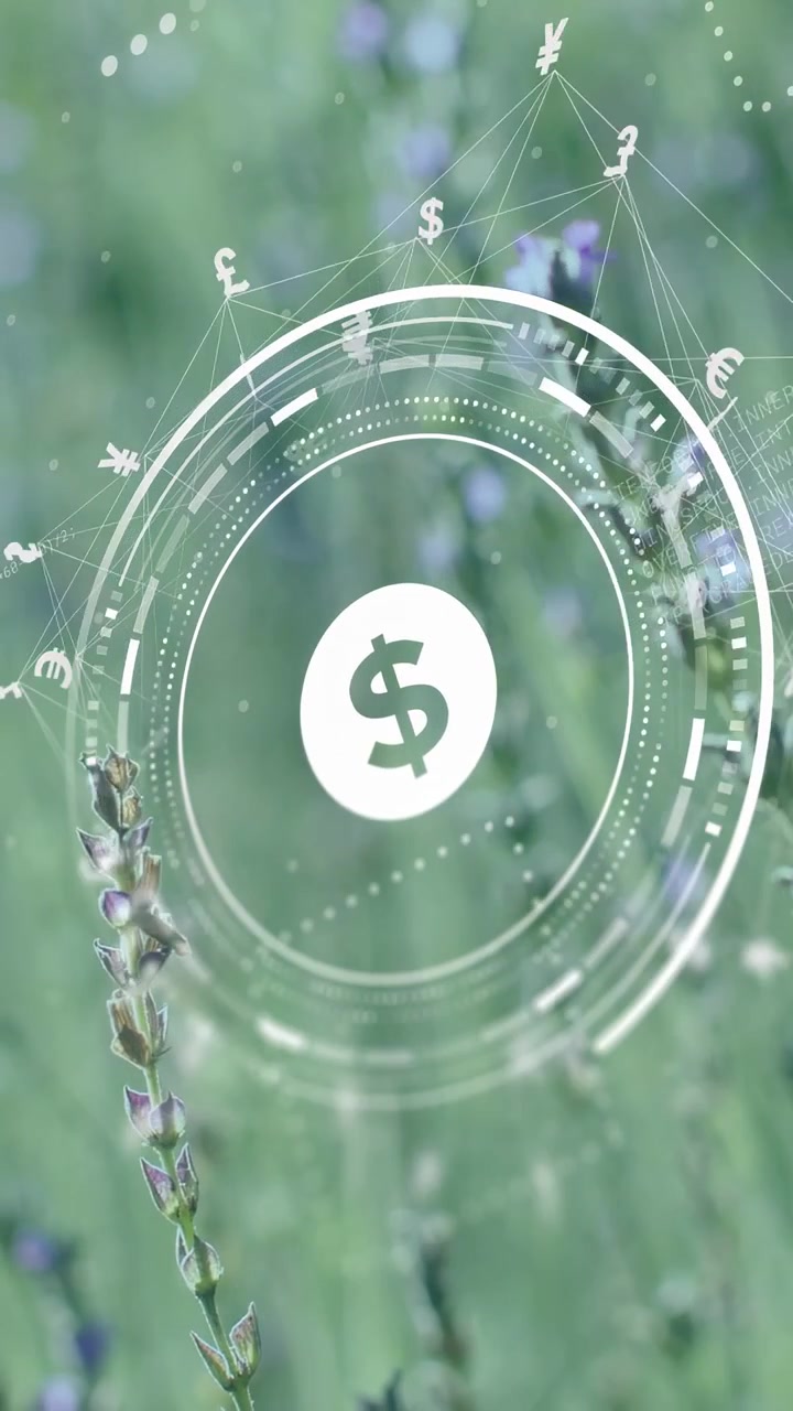 Video verticale: HUD che sfuma in entrata su anelli a stelo e simboli di valuta rotanti che si collegano per mostrare una mappa dei fondi.