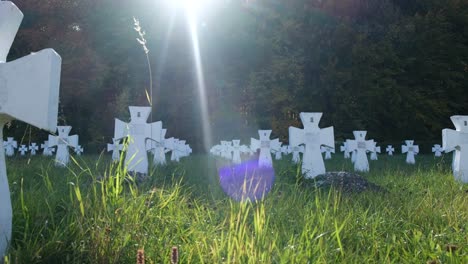 cemetery with white crosses in a grassy field