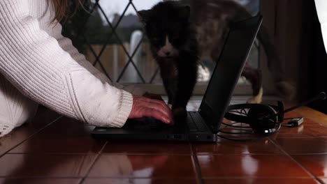 woman working from home on laptop with her cat