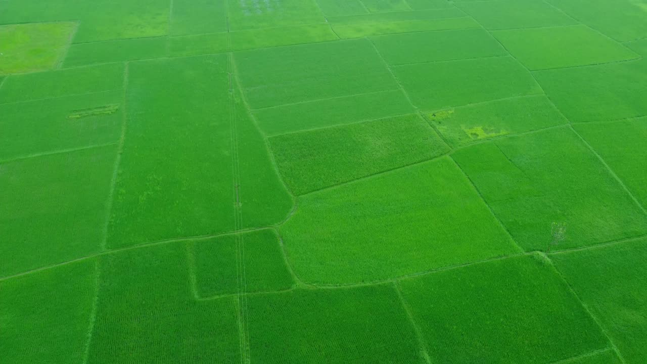 광활 한  ⁇  들 의 공중 뷰  ⁇