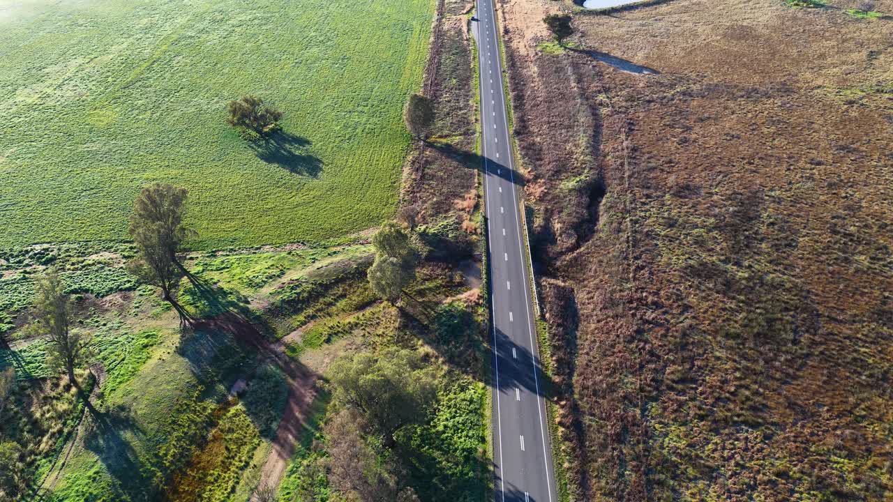 Drone camera smoothly ascends above a straight gravel road bordered by fields and scattered trees in early morning sunlight, creating long shadows and vibrant colors