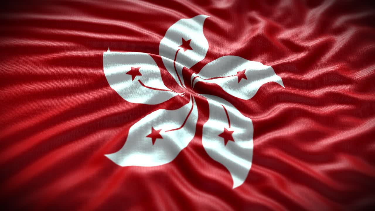 Cinematic 4K flag animation with realistic fabric, lighting, and motion. Perfect for documentaries, news, patriotic events, politics, and global branding projects