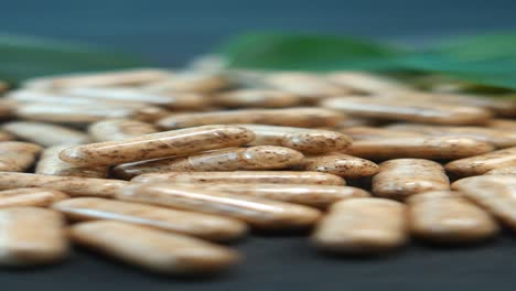 close-up of brown capsules with green leaf