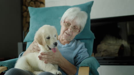 happy senior woman resting in chair with puppy in her arms