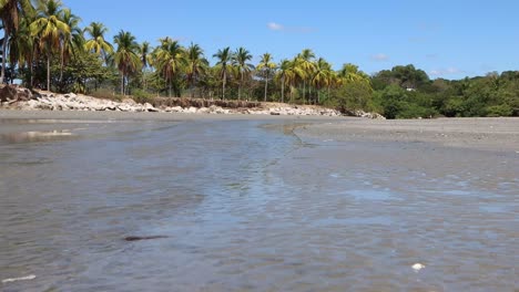 Hund-Rennt-Einen-Kleinen-Bach-Am-Strand-Hinunter