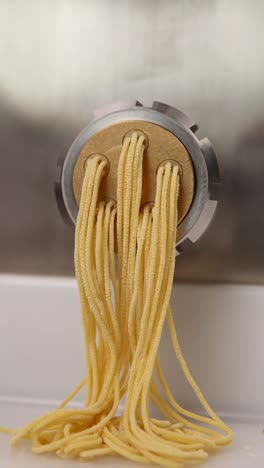 fresh pasta being made by machine