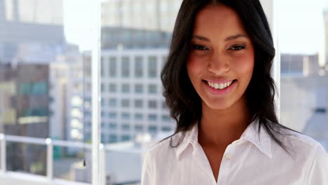 pretty businesswoman smiling at camera