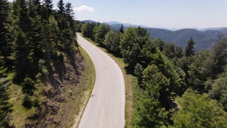 Straße-Durch-Einen-Grünen-Wald-1