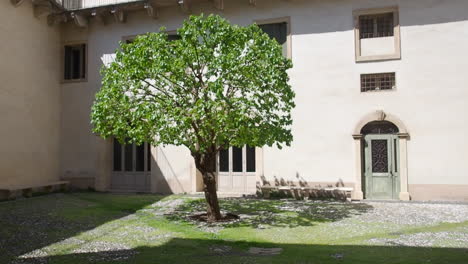 inner courtyard of palazzo barbaran da porto in vicenza, veneto, italy