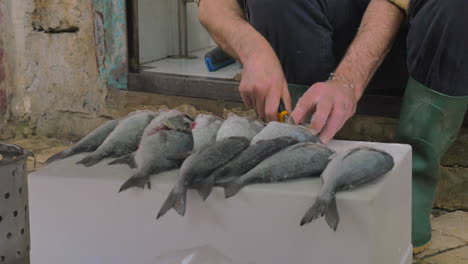 hombre limpiando pescado para prepararlo para la venta
