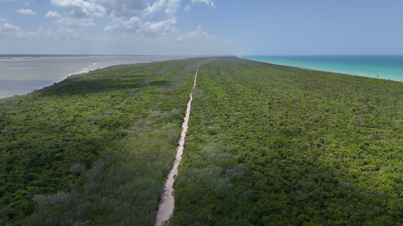 Vista aérea de Río Lagartos, Yucatán, México. Jungla densa rodeada de palmeras, lagunas y el mar Caribe turquesa