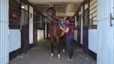 woman grooming a horse in a stable