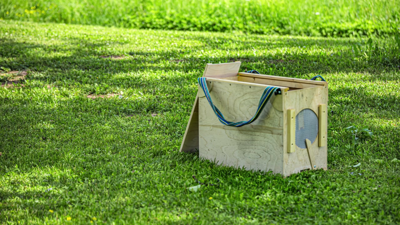 Active beehive environment with flying bees in timelapse