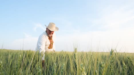 an old ukrainian grandfather plays the harmonica he is dressed in an embroidered jacket an old ukrainian grandfather plays the harmonica he is dressed in an embroidered jacket old grandfather in the wheat field