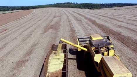 machines harvest corn in a farm field