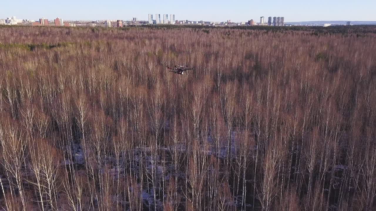 숲 위 의 드론 비행 과 배경 에 도시 풍경