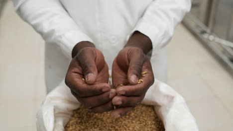 Man-grabbing-seeds-on-hand
