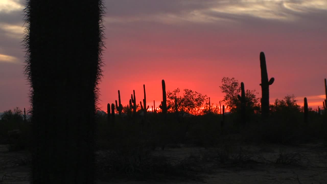 El sol se pone en el desierto