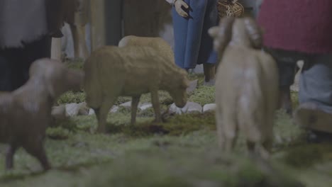 a shepherd girl is on the way to the christ child with her sheep in a nativity scene