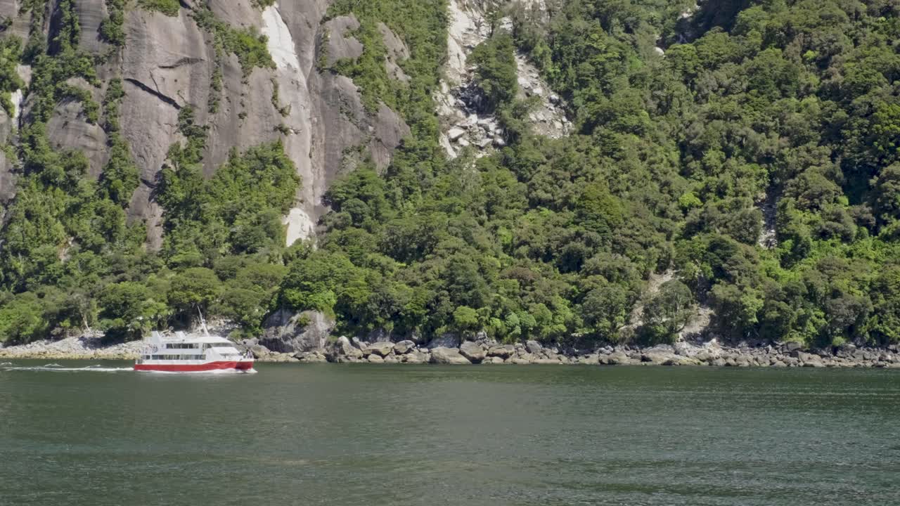 뉴질랜드 피오르드랜드 산의 푸른 나무와 함께 밀포드 사운드에서 크루즈 항해