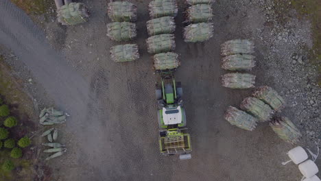 tractor mueve un montón de árboles de navidad envueltos para el transporte
