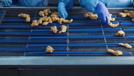 Production-of-chicken-strips,-nuggets-and-fillets,-breading-at-the-factory