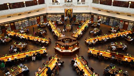 people studying and reading in a library