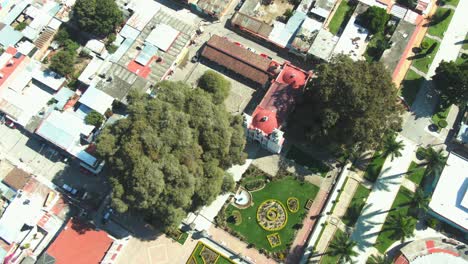 Tule-Tree,-Oaxaca-Mexico,-Aerial-View-Drone-4