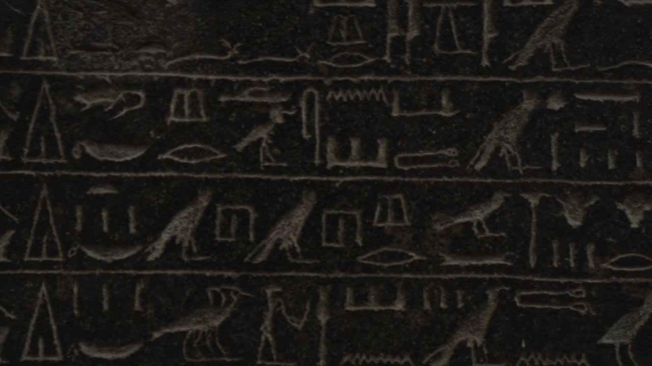 Close up shot of wall covered in ancient Egyptian hieroglyphics in museum