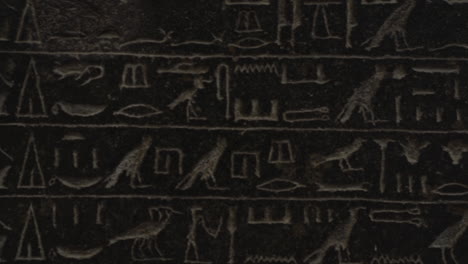 close up shot of wall covered in ancient egyptian hieroglyphics in museum