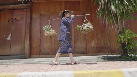 woman carrying baskets of produce