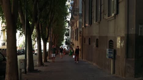 a peaceful walk down a tree-lined sidewalk beside urban buildings, capturing daily pedestrian life.