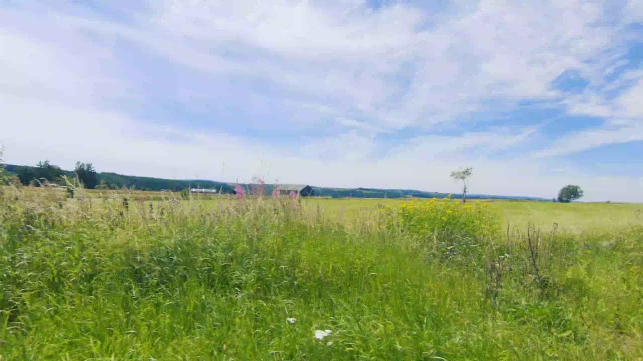 아르덴스, 벨기에, 유럽, 4k, 50fps