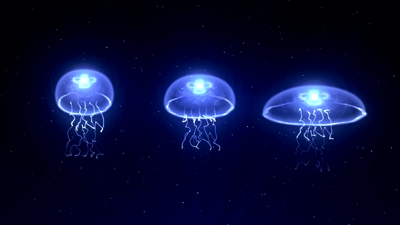 medusas iluminadas con luz de color bajo el agua, animación cg, bucle
