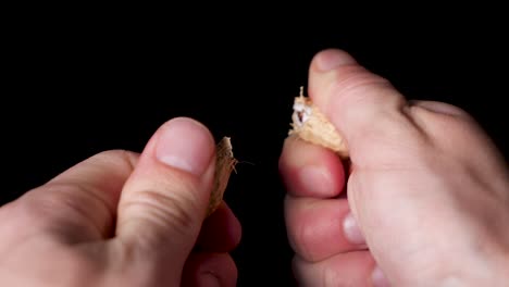 male hands crack a peanut and remove the delicious core from the shell - slow motion