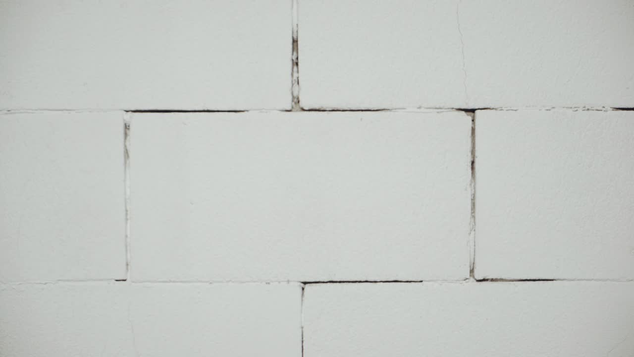 Stylish wearing woman. Young sexy woman posing in style clothes on background in studio