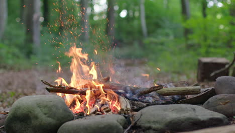 woman throws branches into a campfire