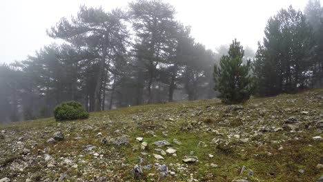 Timelapse-Giratorio,-Tiro-De-Montaña-Y-Niebla