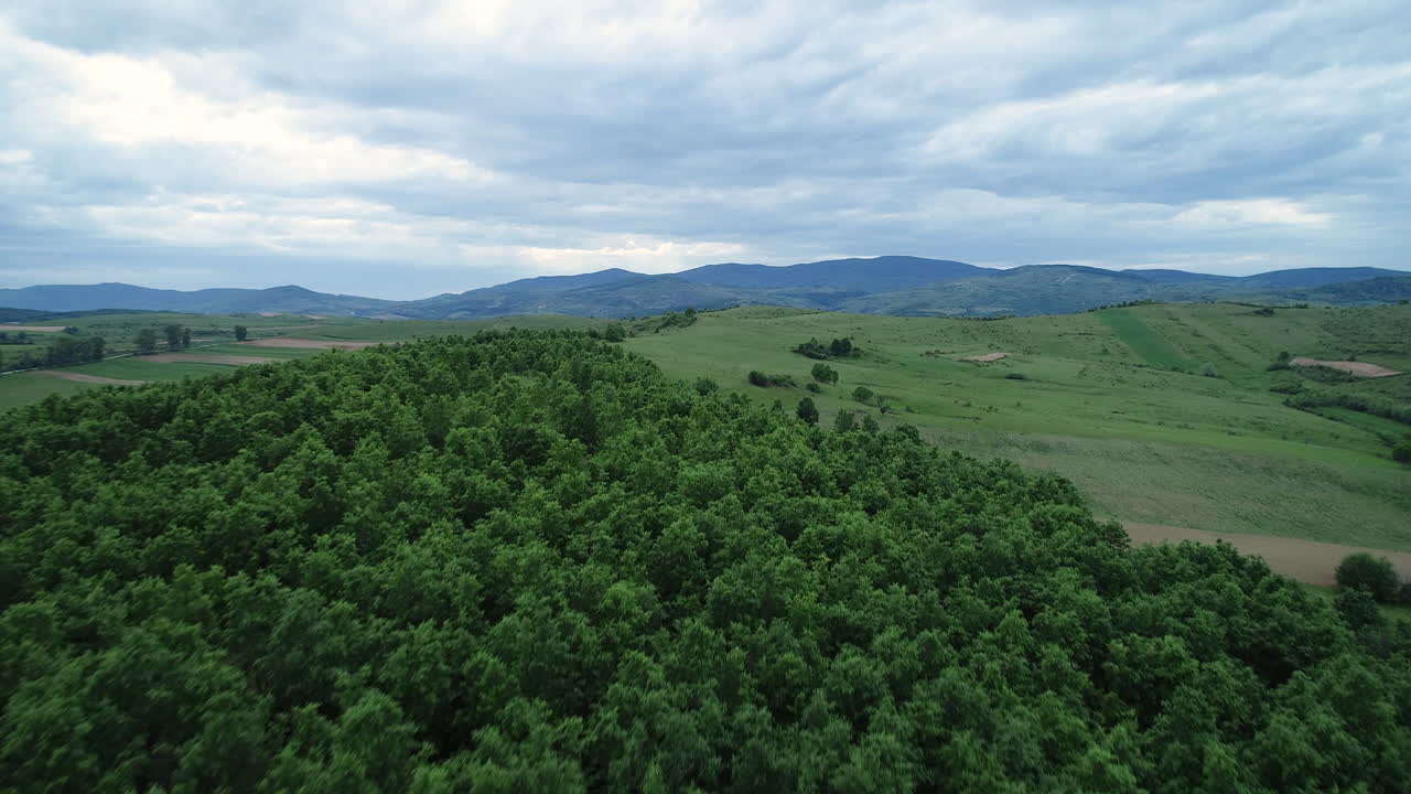 vista aérea de drones sobre el bosque