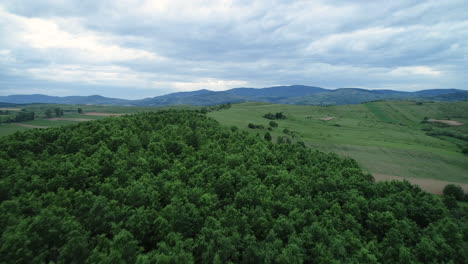 aerial drone top view over the forest