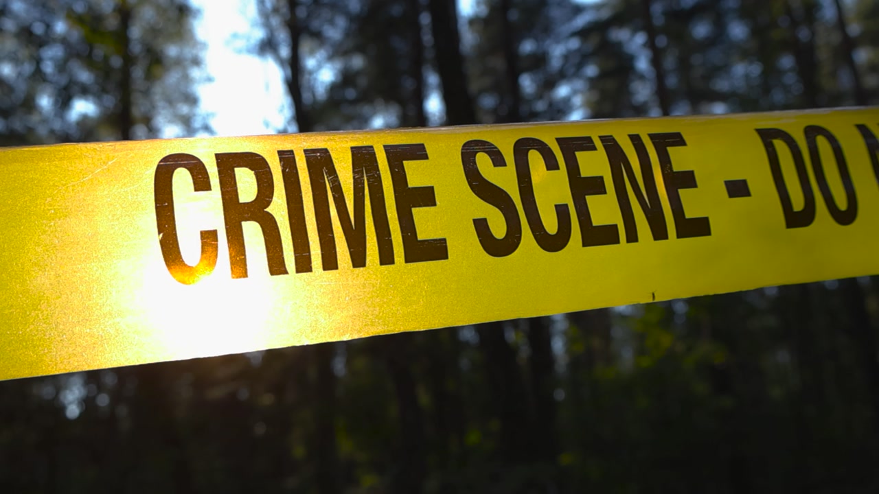 Close up view of a Crime scene forensics investigation tape that is backlit by sunlight pulled in front of a dense and thick forest area during summer or autumn day. Sun shining through the tape.