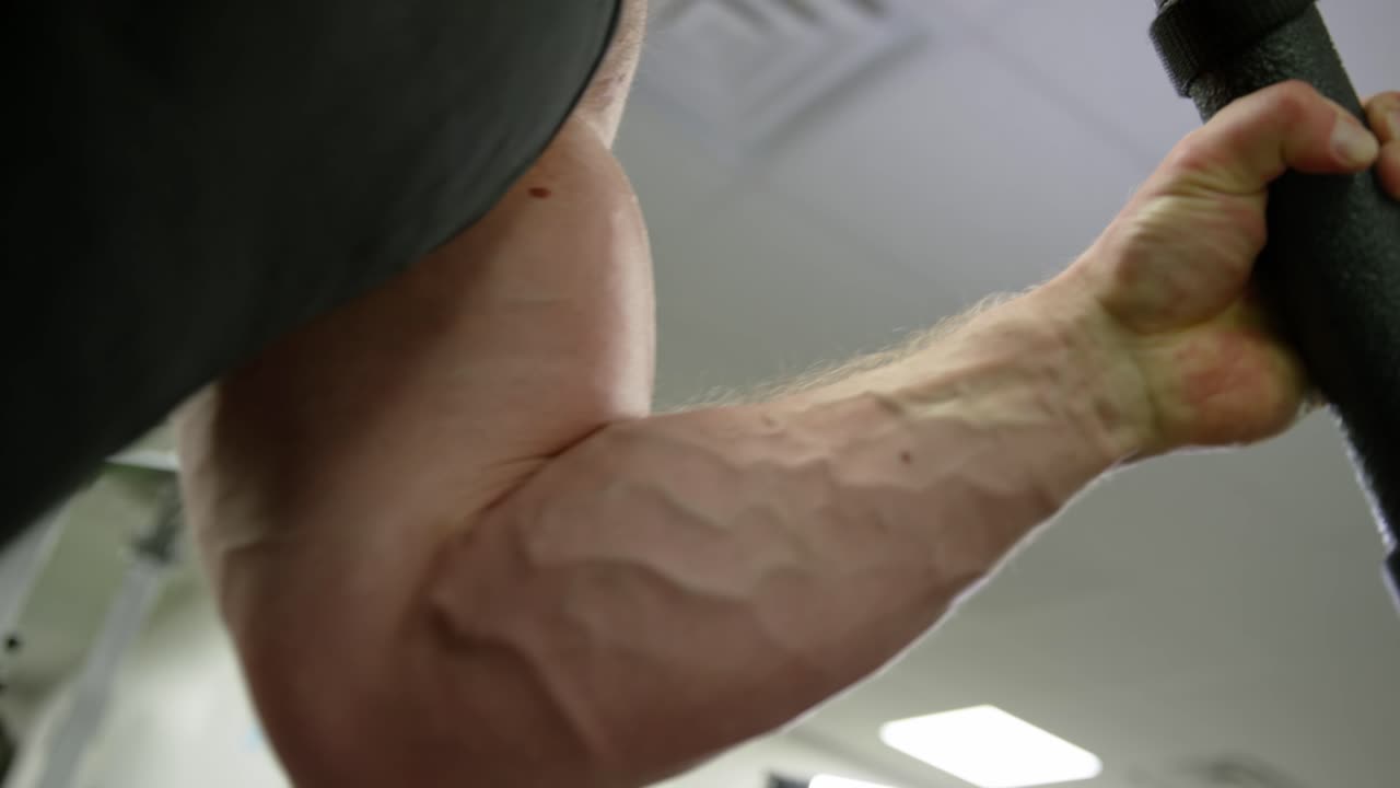 Physical and muscle weight training for body building workout